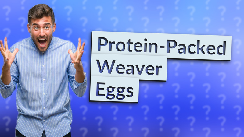 Protein-Packed Weaver Eggs