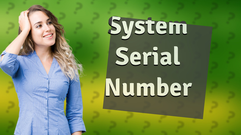 System Serial Number