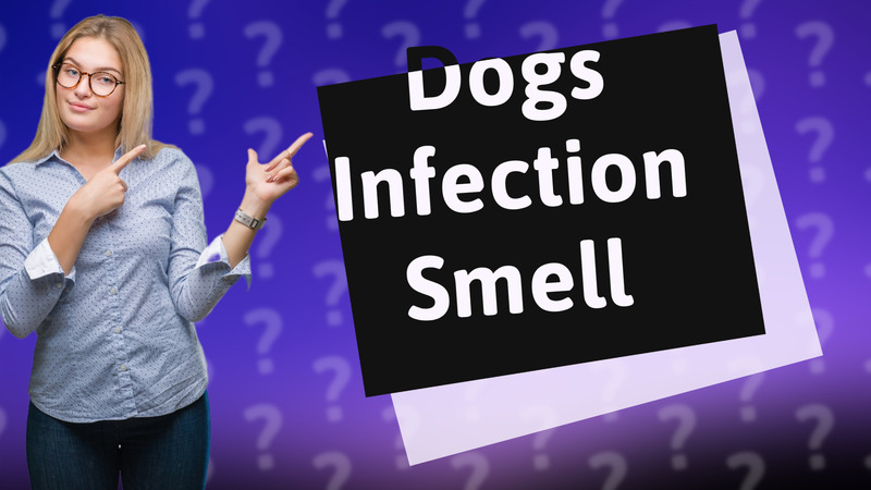 Dogs Infection Smell