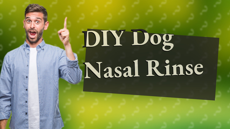 DIY Dog Nasal Rinse