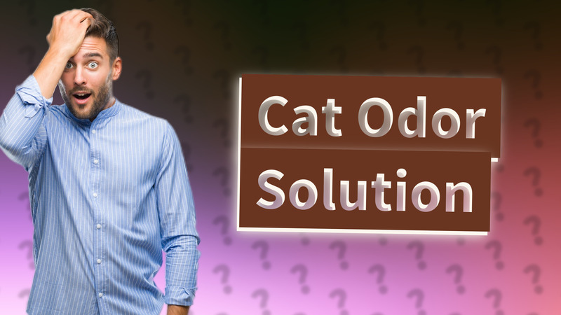 Cat Odor Solution