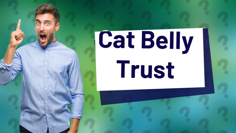 Cat Belly Trust