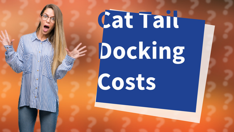 Cat Tail Docking Costs