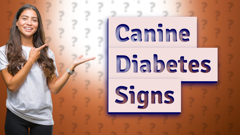 Canine Diabetes Signs