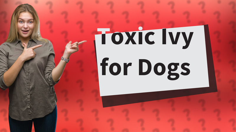 Toxic Ivy for Dogs