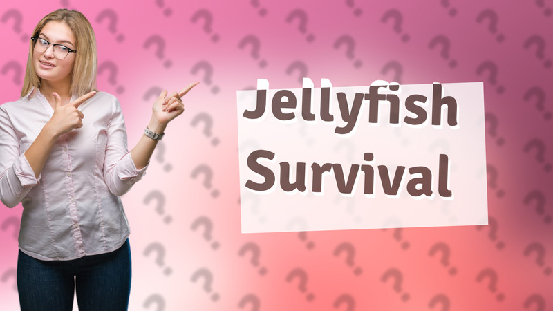Jellyfish Survival