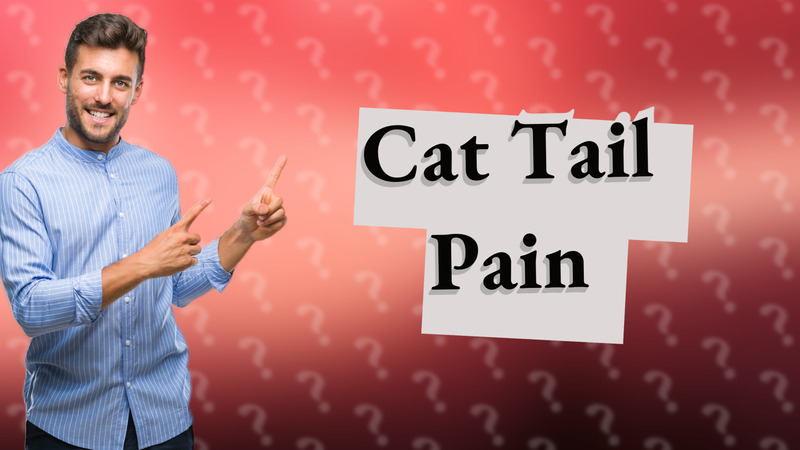 Cat Tail Pain