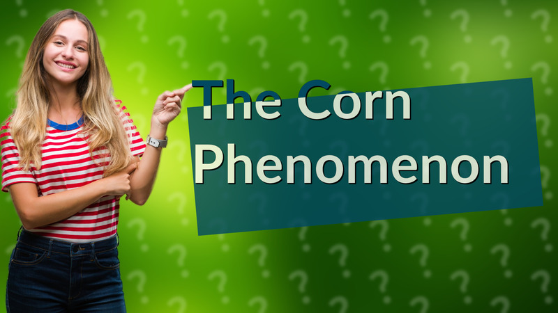 The Corn Phenomenon