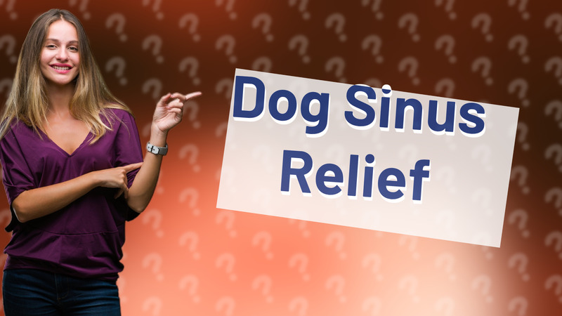 Dog Sinus Relief
