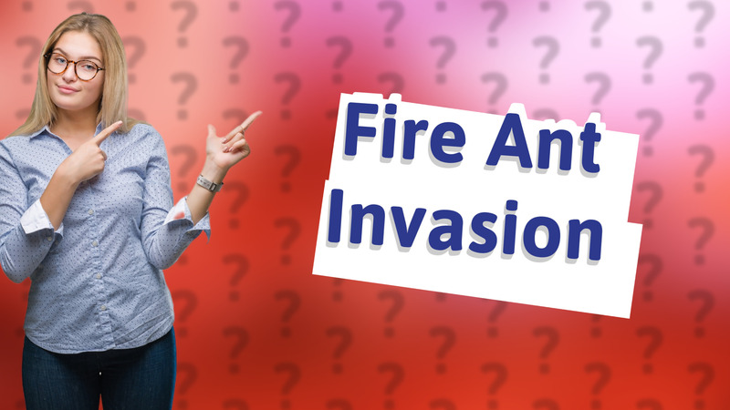 Fire Ant Invasion