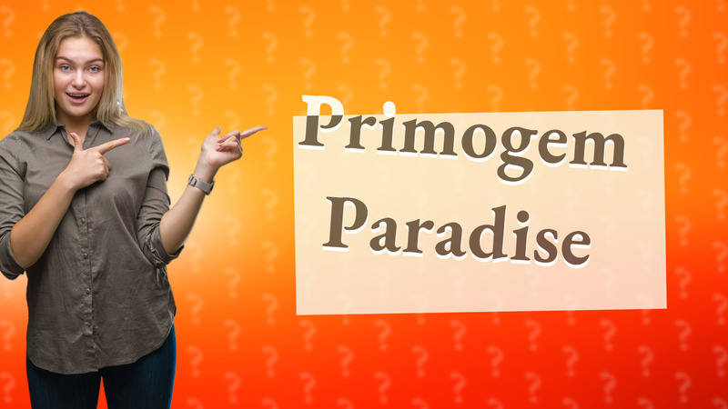 Primogem Paradise