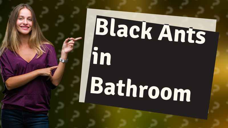 Black Ants in Bathroom