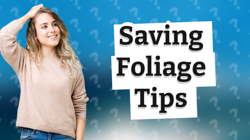 Saving Foliage Tips