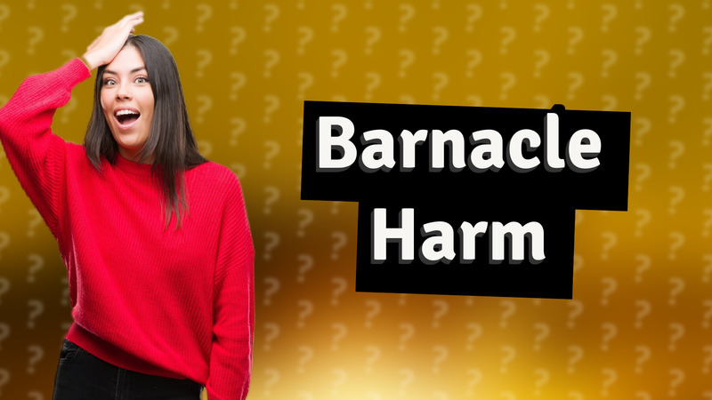 Barnacle Harm