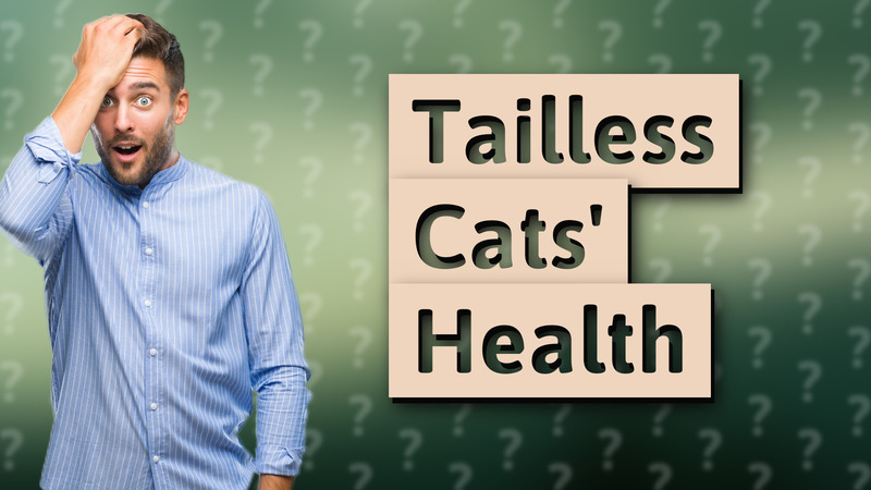 Tailless Cats' Health
