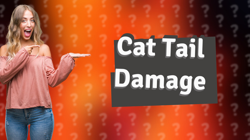 Cat Tail Damage