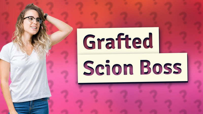 Grafted Scion Boss