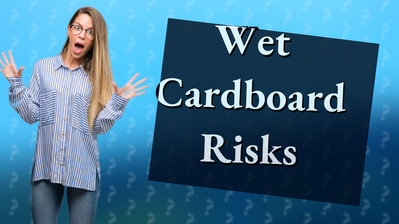 Wet Cardboard Risks
