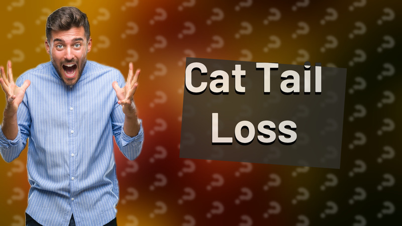 Cat Tail Loss