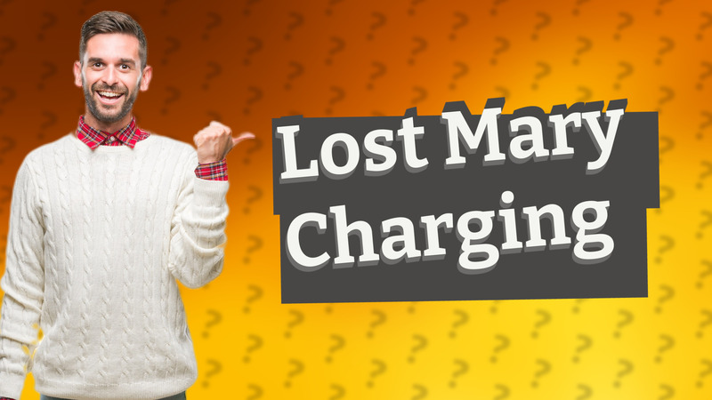 Lost Mary Charging