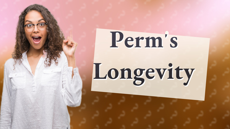 Perm's Longevity