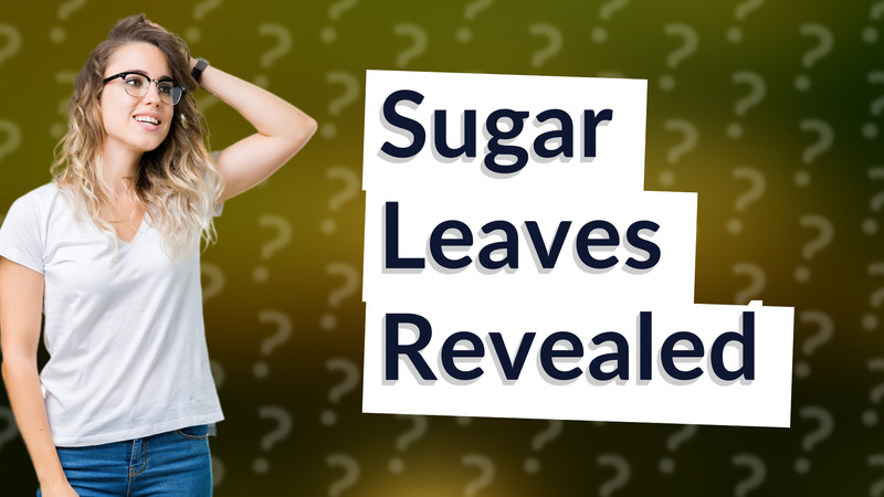 Sugar Leaves Revealed