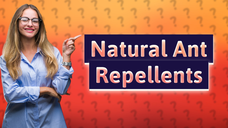 Natural Ant Repellents