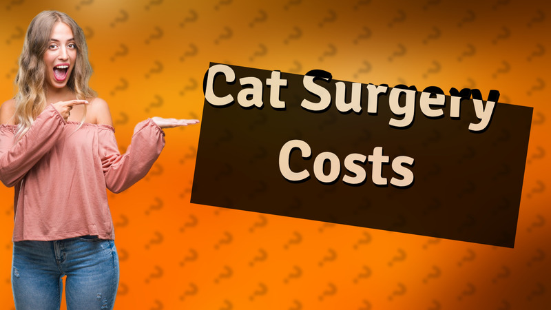 Cat Surgery Costs