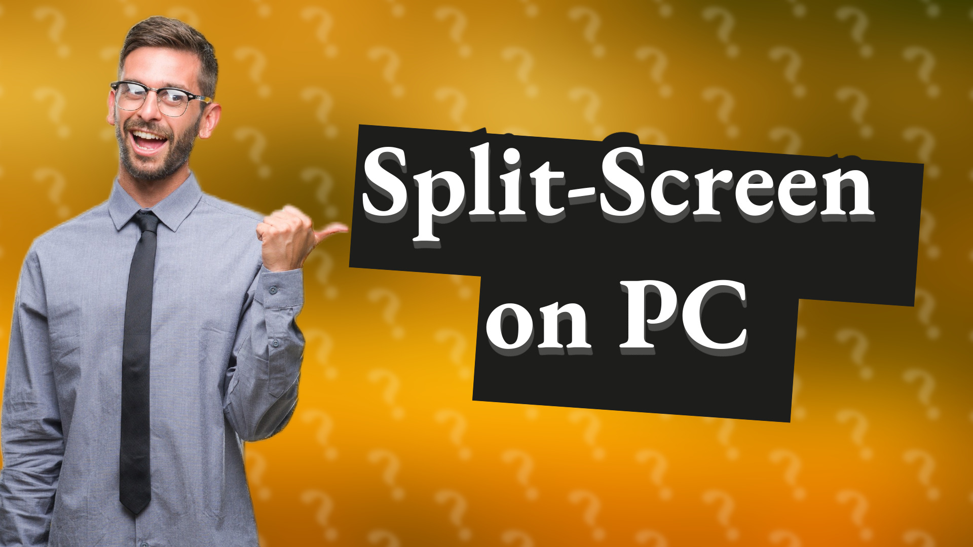 Split-Screen on PC