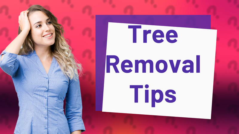 Tree Removal Tips