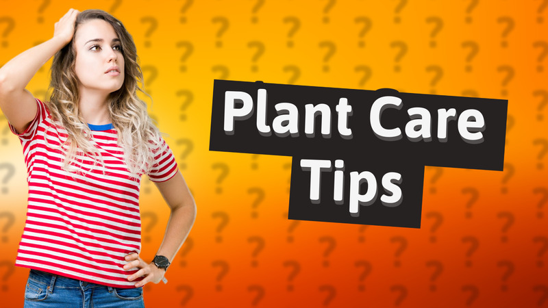 Plant Care Tips