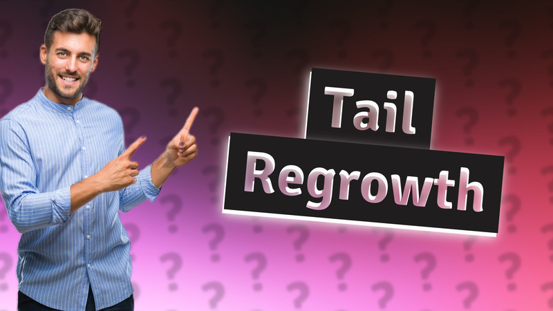 Tail Regrowth
