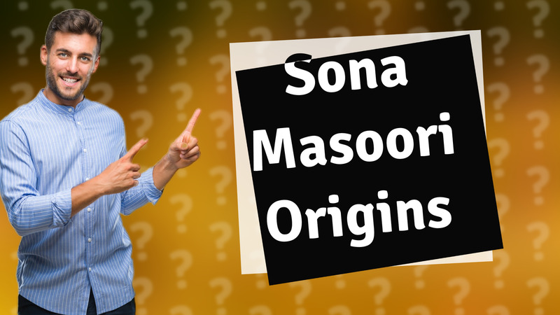 Sona Masoori Origins