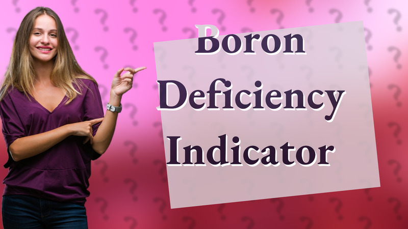 Boron Deficiency Indicator