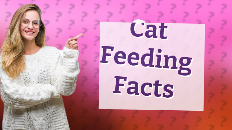 Cat Feeding Facts