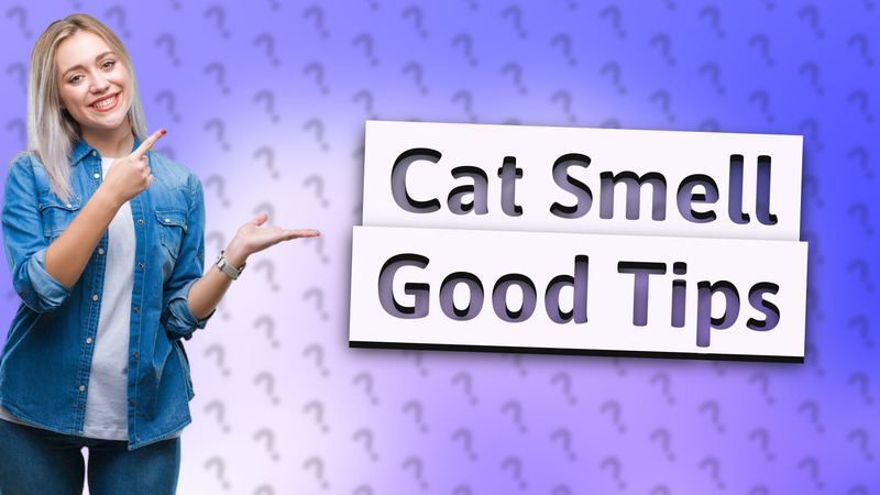 Cat Smell Good Tips