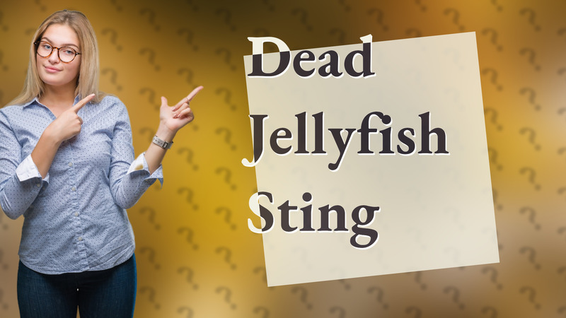 Dead Jellyfish Sting
