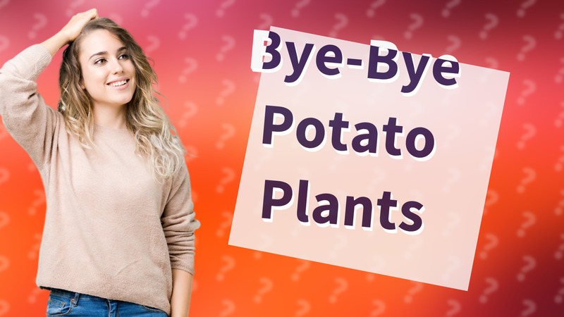 Bye-Bye Potato Plants