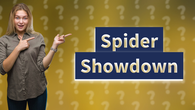 Spider Showdown