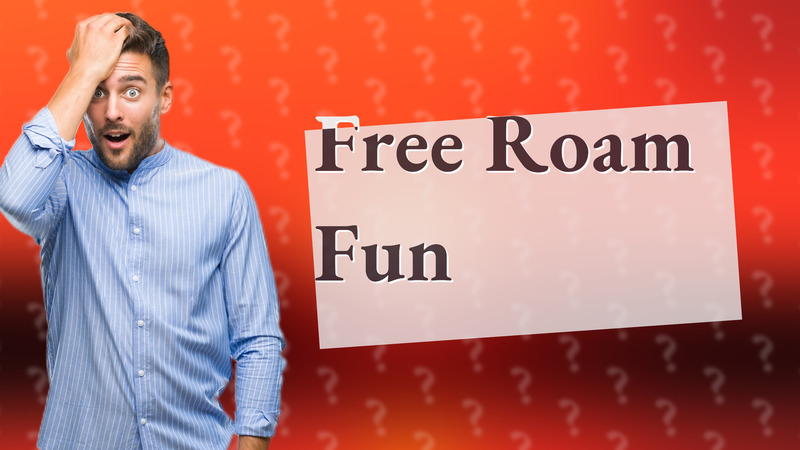 Free Roam Fun