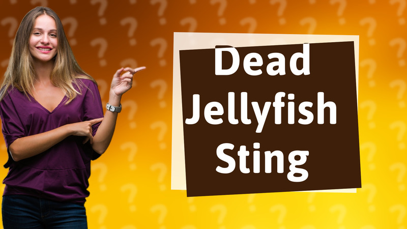 Dead Jellyfish Sting