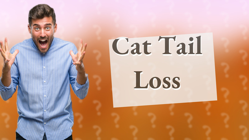 Cat Tail Loss