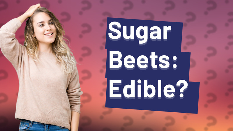 Sugar Beets: Edible?