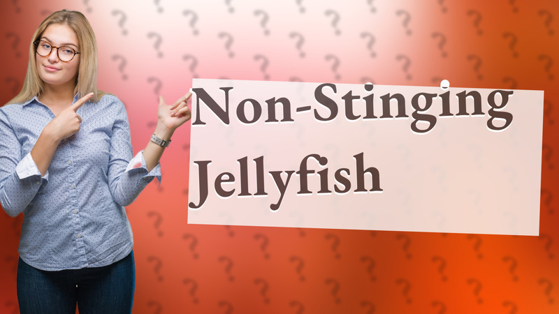 Non-Stinging Jellyfish