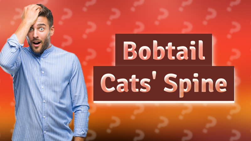 Bobtail Cats' Spine