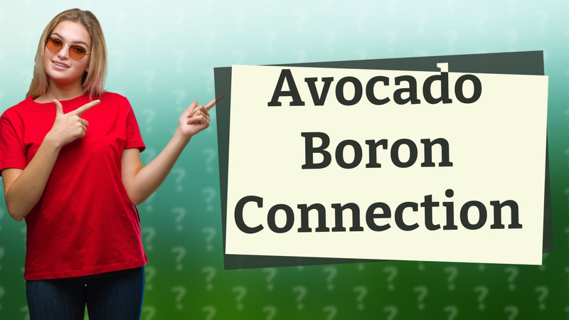 Avocado Boron Connection