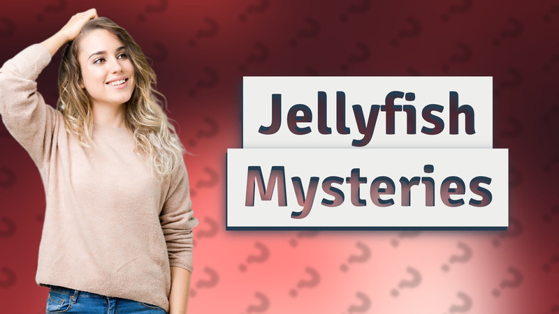 Jellyfish Mysteries