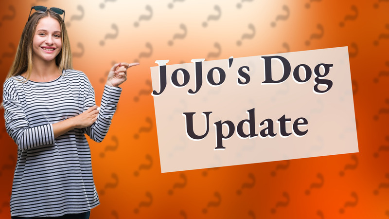JoJo's Dog Update