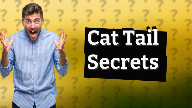 Cat Tail Secrets