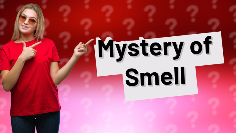 Mystery of Smell